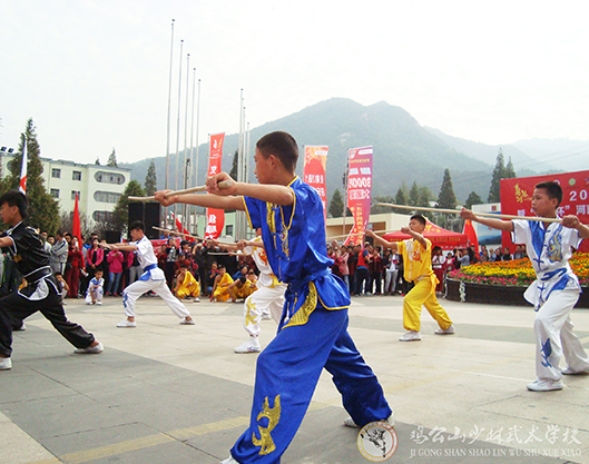 武術(shù)電影明星 曾經(jīng)的全國(guó)武術(shù)冠軍