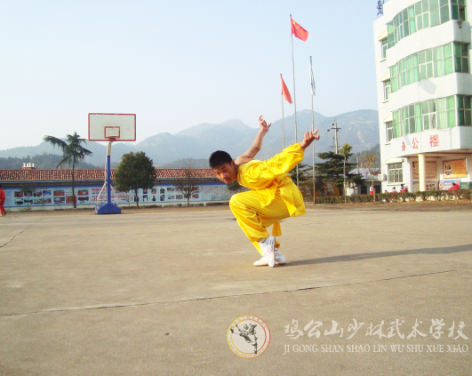 學習武術對各類人有什么好處 這個說的很全