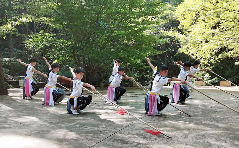 武術(shù)表演